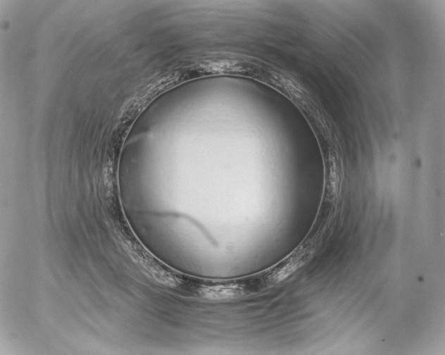 X0000052600461200507221638