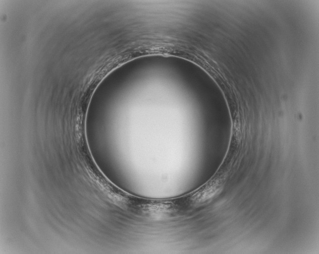 X0000052600462200507221638