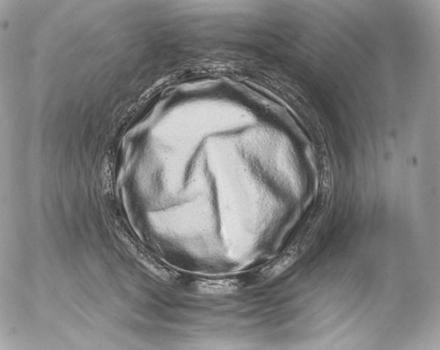 X0000052600465200507221638