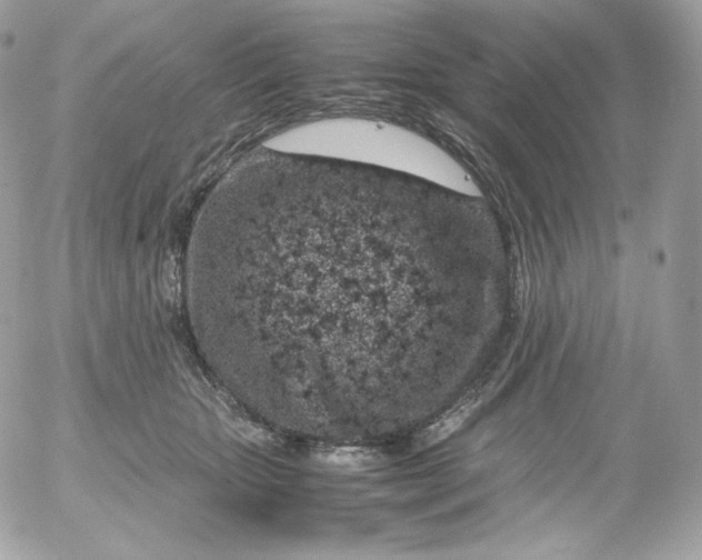 X0000052600467200507221638