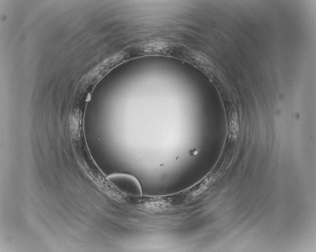 X0000052600468200507221638