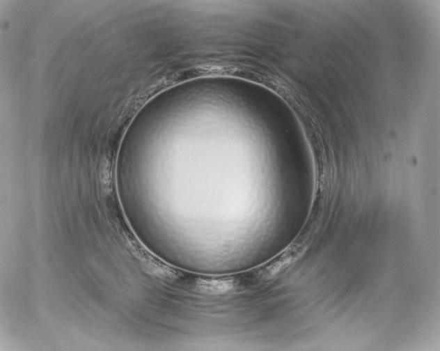 X0000052600469200507221638