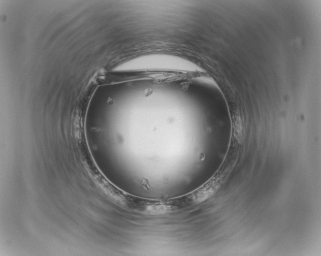 X0000052600470200507221638