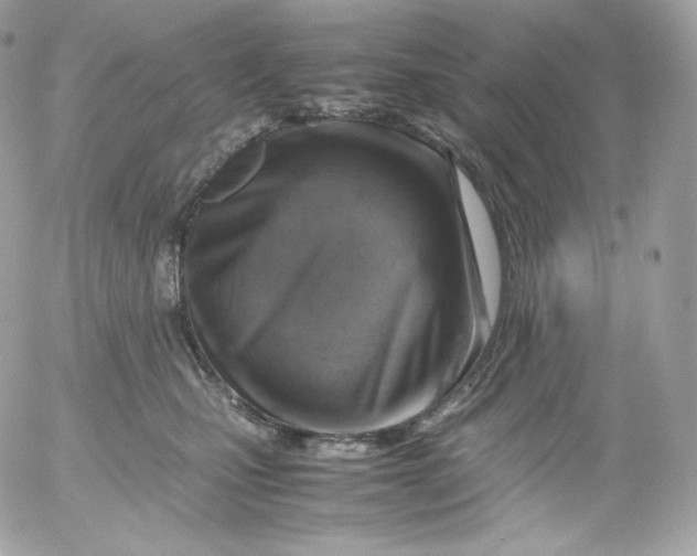 X0000052600471200507221638