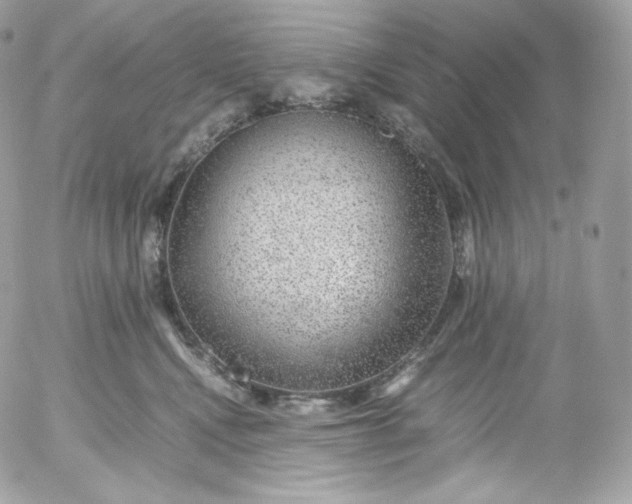 X0000052600472200507221638