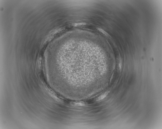 X0000052600475200507221638