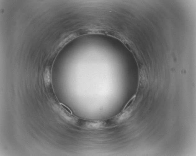 X0000052600479200507221638