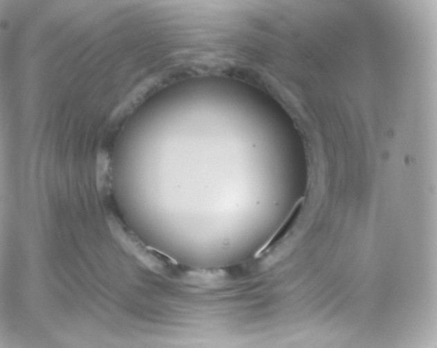 X0000052600480200507221638