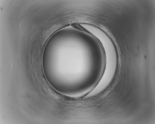 X0000052600481200507221638