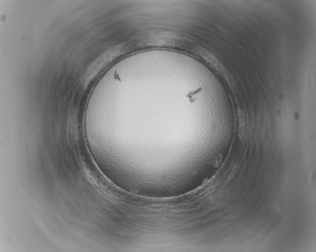 X0000052600482200507221638