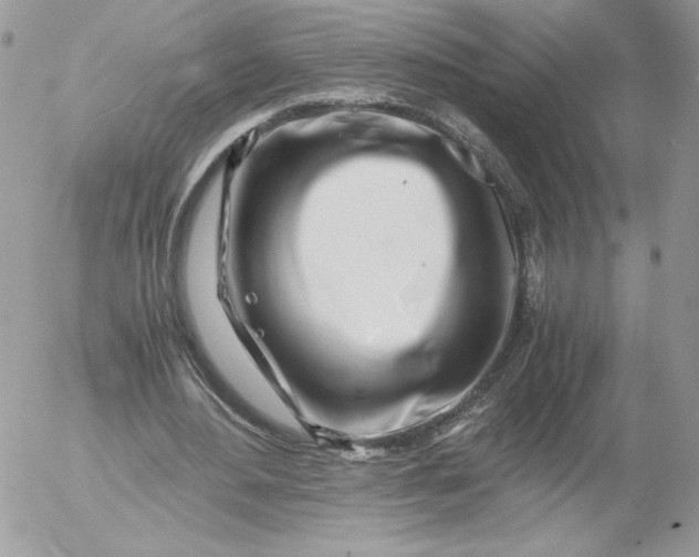 X0000052600484200507221638