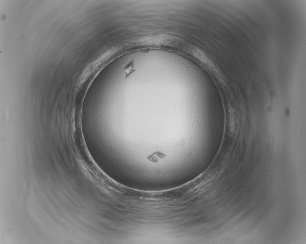 X0000052600486200507221638