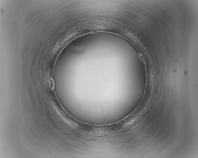 X0000052600489200507221637