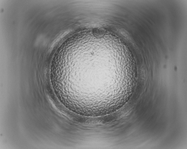 X0000052600491200507221637