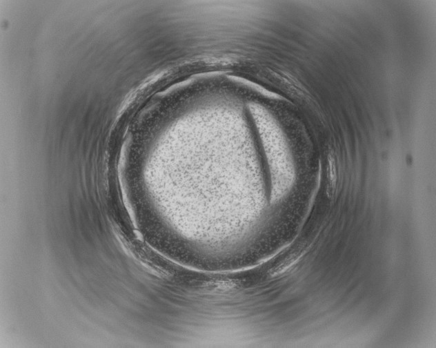 X0000052600492200507221637