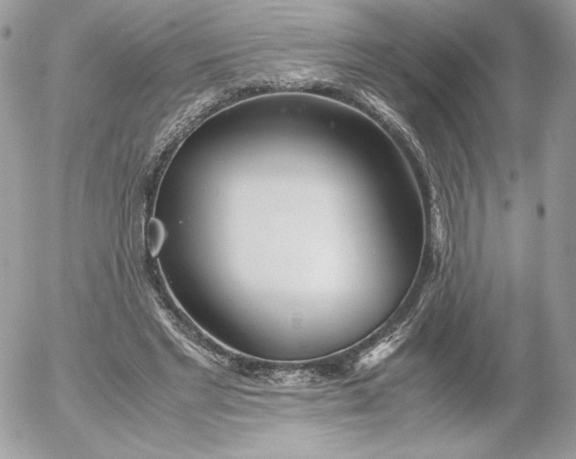 X0000052600493200507221637