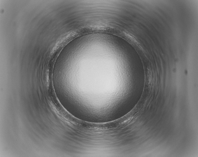 X0000052600494200507221637