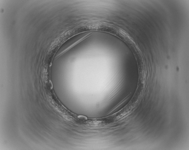 X0000052600497200507221637