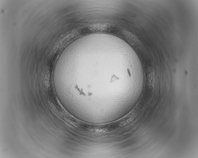 X0000052600498200507221637