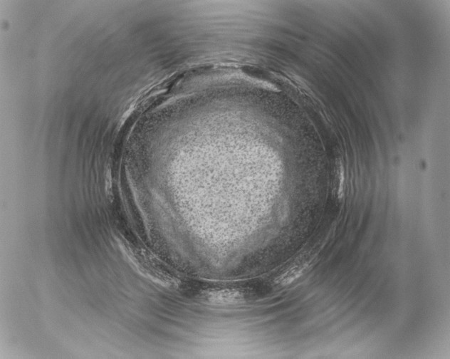 X0000052600500200507221637