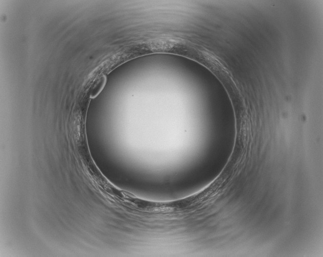 X0000052600501200507221637