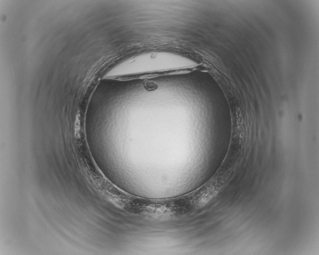 X0000052600502200507221637