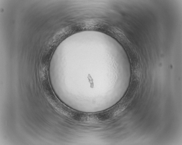 X0000052600503200507221637