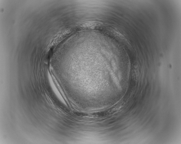 X0000052600504200507221637