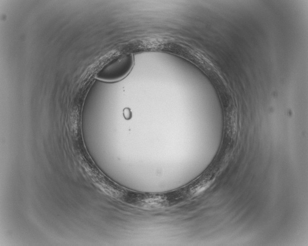 X0000052600505200507221637