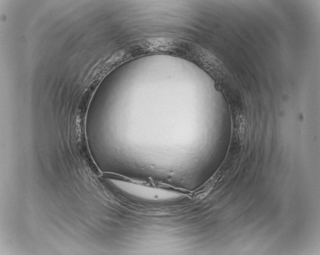 X0000052600506200507221637