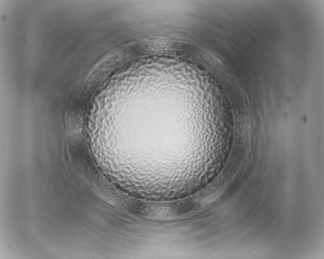 X0000052600507200507221637