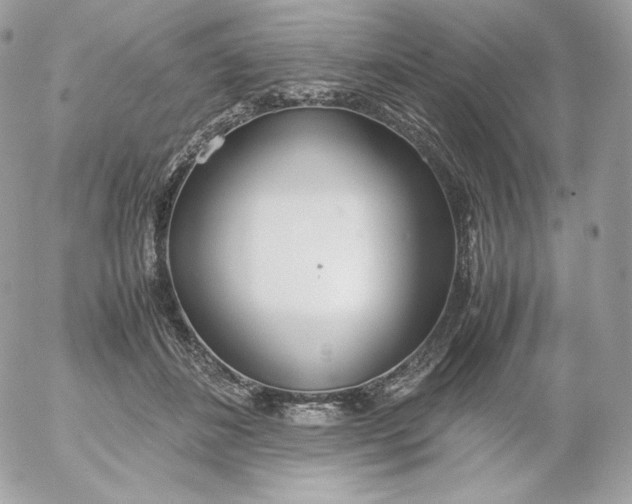 X0000052600508200507221637