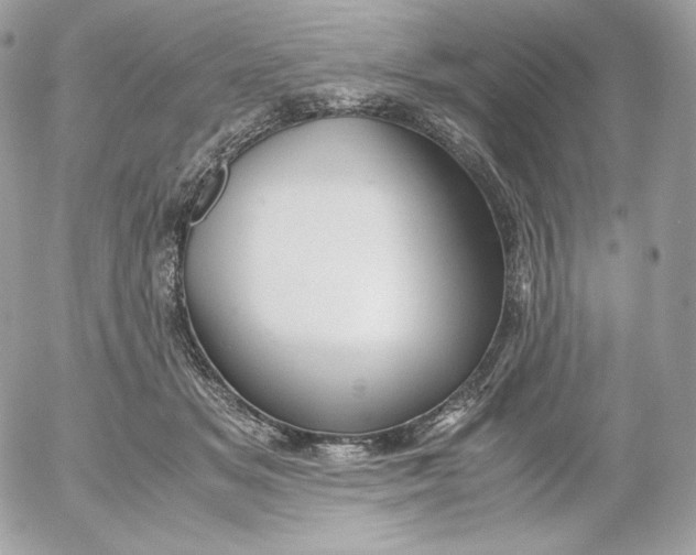 X0000052600509200507221637