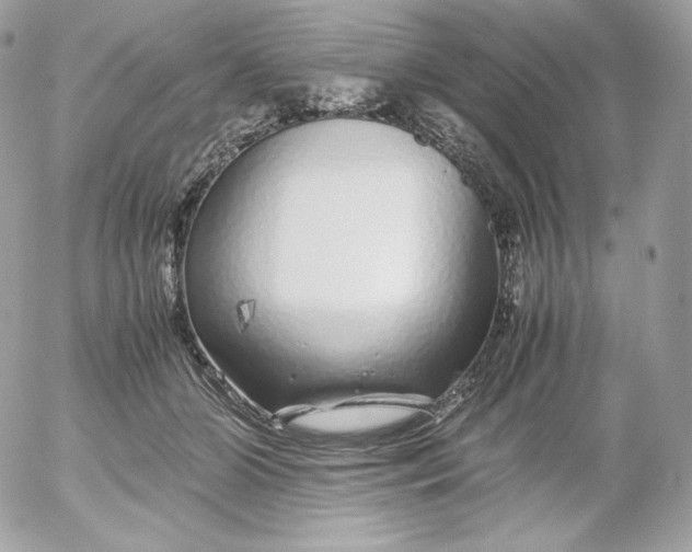 X0000052600510200507221637