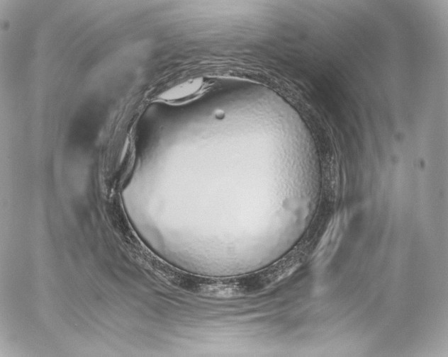 X0000052600511200507221637