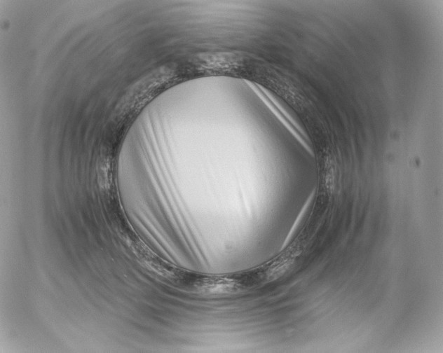 X0000052600514200507221637