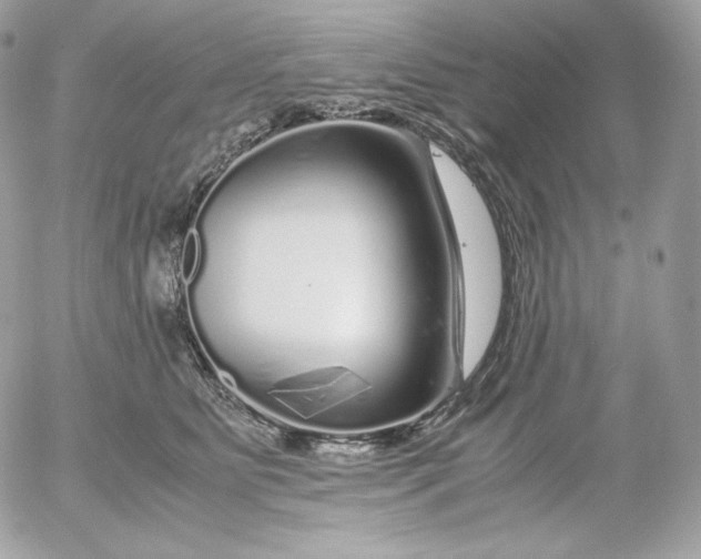 X0000052600515200507221637