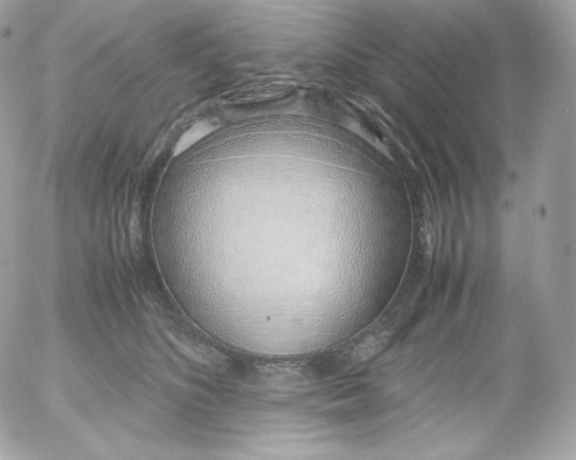 X0000052600516200507221637