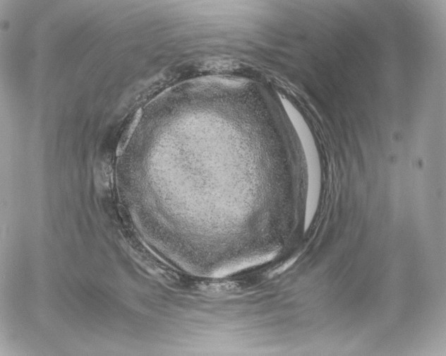 X0000052600517200507221637