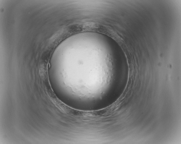 X0000052600519200507221637