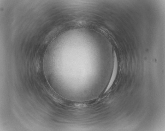 X0000052600520200507221637