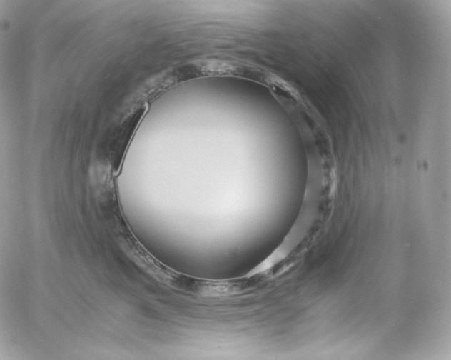 X0000052600521200507221637