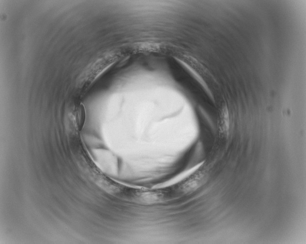 X0000052600522200507221637