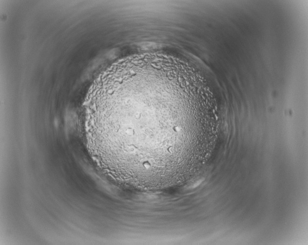 X0000052600523200507221637