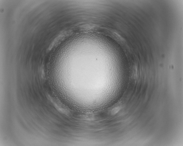 X0000052600524200507221637