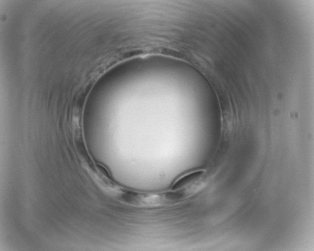 X0000052600527200507221637