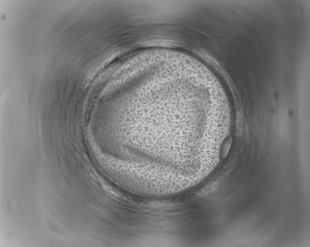 X0000052600529200507221636