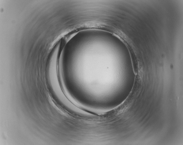 X0000052600530200507221636