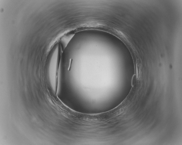 X0000052600531200507221636