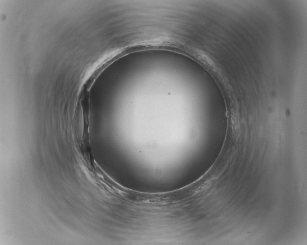 X0000052600532200507221636